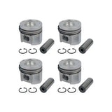 Piston Kit 4955416 for Cummins B3.3 QSB3.3 Engine